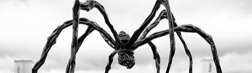 What's JR doing on top of that Louise Bourgeois spider?